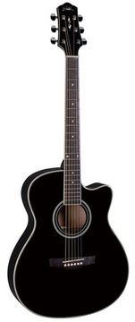 Акустическая гитара Naranda TG220CBK