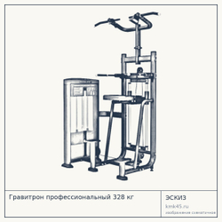 Гравитрон профессиональный 328 кг — от 236 000 ₽