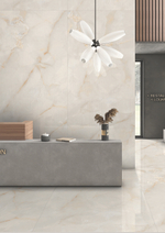 StaroSlabs Ostra Bianco Elegance Polished 120x280