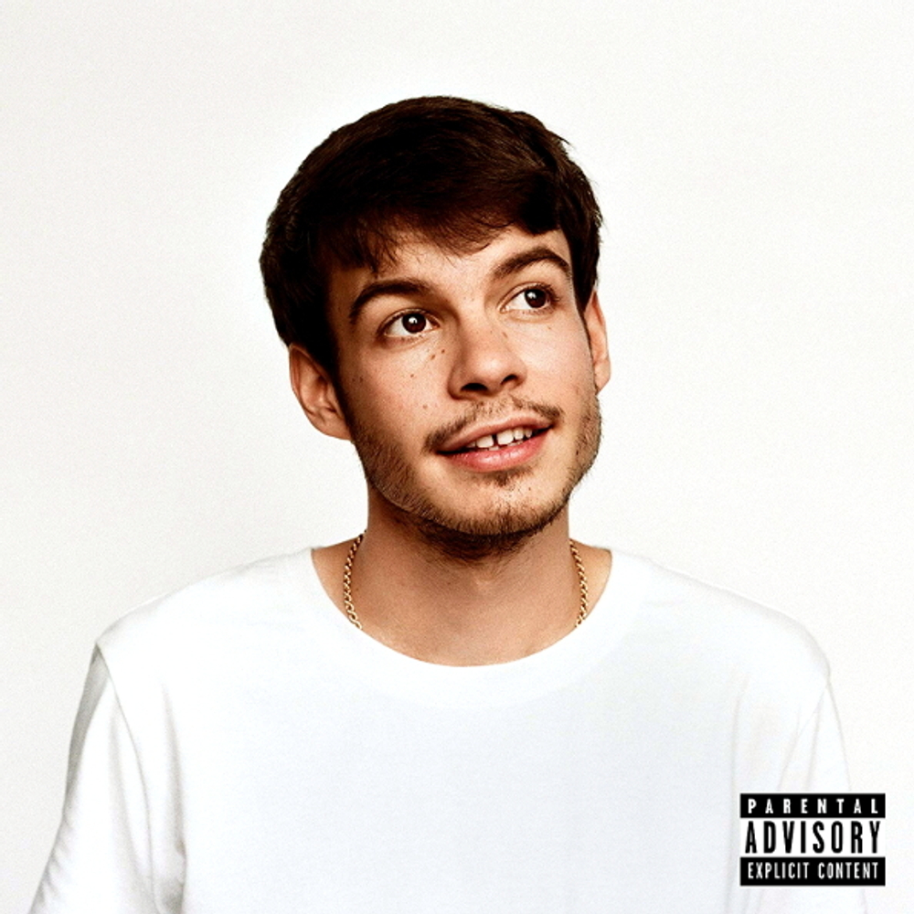Rex Orange County / Pony (LP)