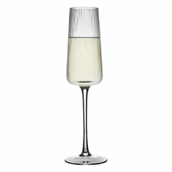 Набор бокалов для шампанского celebrate, 240 мл, 2 шт.