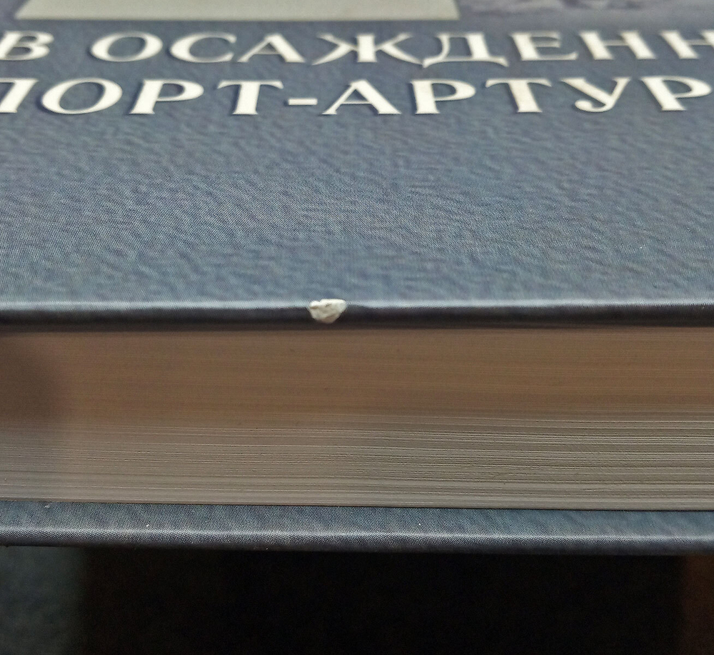 В осаждённом Порт-Артуре. Дневник сестры милосердия (у)