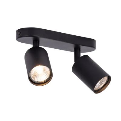 Спот Arte Lamp AQUARIUS A3226PL-2BK, 2хGU10