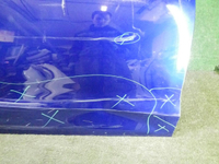 DSCN4048.JPG