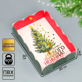 Коробка подарочная с пластиковой крышкой «Уютного Нового года!», 20×30×8 см