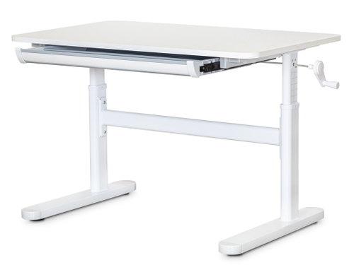 Растущая парта Ergokids Boston TH-210 Lite W (1000×600 мм)