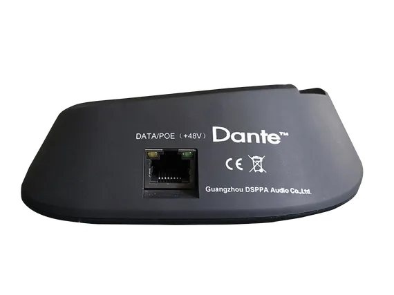 DSPPA DT4200E