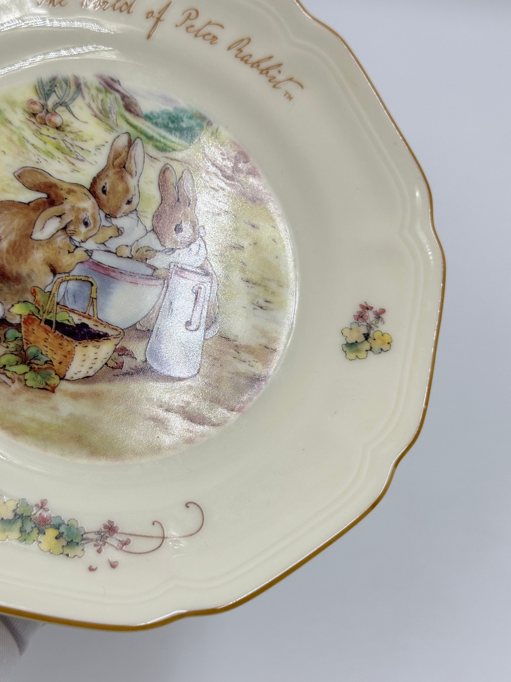 Тарелка The World of Peter Rabbit