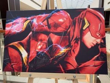 Картина на холсте Флеш Flash (50х80)