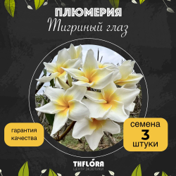 Плюмерия "Тигриный глаз" семена 3 штуки