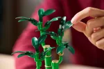 Конструктор LEGO Botanical Collection 10344 Бамбук удачи