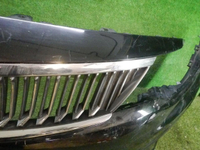 DSCN0260.jpg