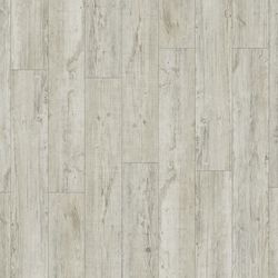 Latin Pine 24142