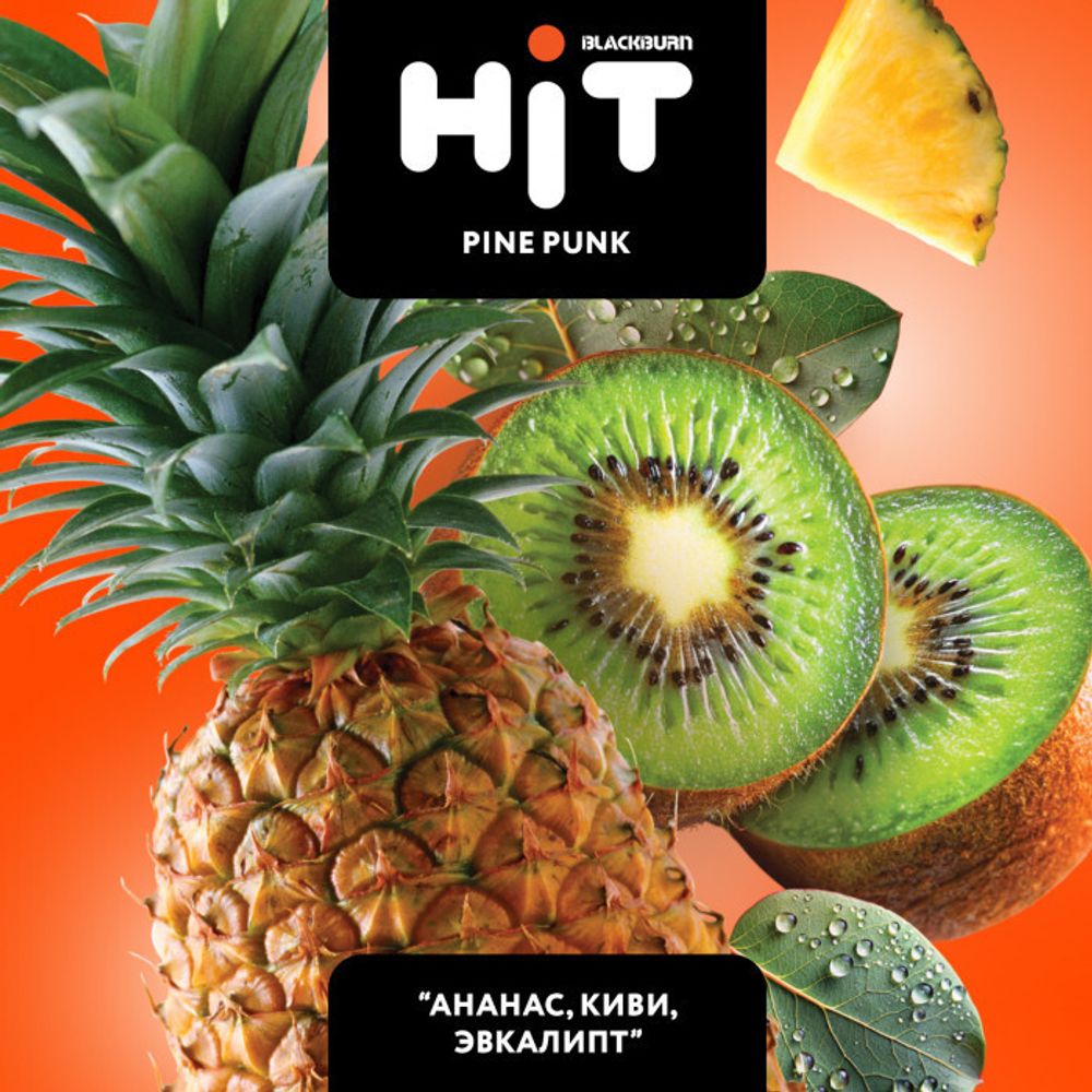 HIT Pine Punk (Ананас Киви Эвкалипт) 30г