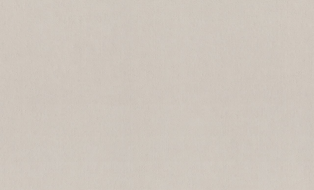 Rasch 1.06m*10m 990287 Unitex