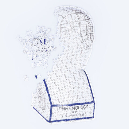 Пазл phrenology