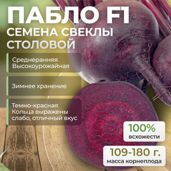 ПАБЛО F1 семена свеклы (Bejo | Alexagro)