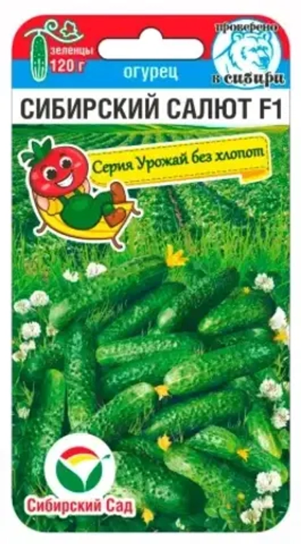 Огурец Сибирский салют 7шт (Сиб Сад)