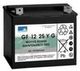 Аккумулятор Sonnenschein GF 12 025 Y G ( 12V 28Ah / 12В 28Ач ) - фото 1