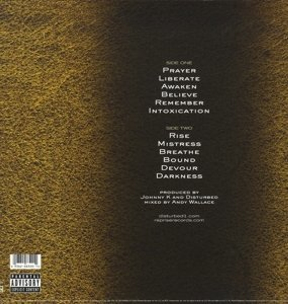 Disturbed / Believe (LP)
