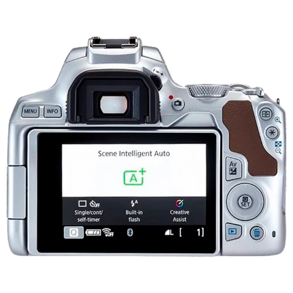 Зеркальный фотоаппарат Canon EOS 250D Kit EF-S 18-55mm f/4.0-5.6 IS STM Серебристый