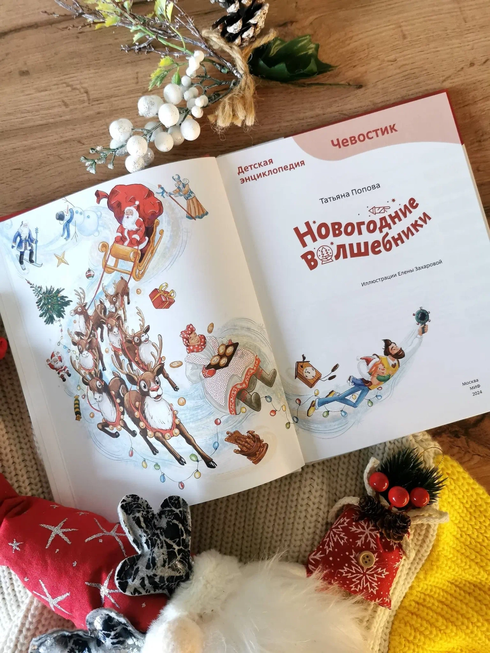 Новогодние волшебники. Детские энциклопедии с Чевостиком