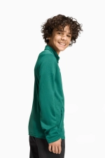 Кофта adidas Entrada 26 TrackJunior - зеленый