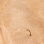 Паста для моделирования AK Interactive Terrains Sandy Desert 250ml