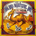 It's A Beautiful Day / Choice Quality Stuff/Anytime (Coloured Vinyl)(LP)