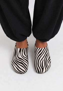 mule zebra noire