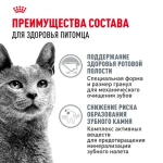 ROYAL CANIN (Роял Канин) Dental Care Корм сухой для взрослых кошек для профилактики образования зубного налета и зубного камня, 400 г
