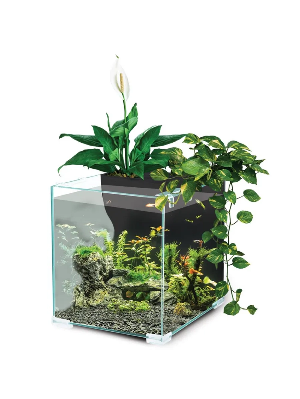 Аквариум Botanic 9,4л, 24,3*20,3*23,6см