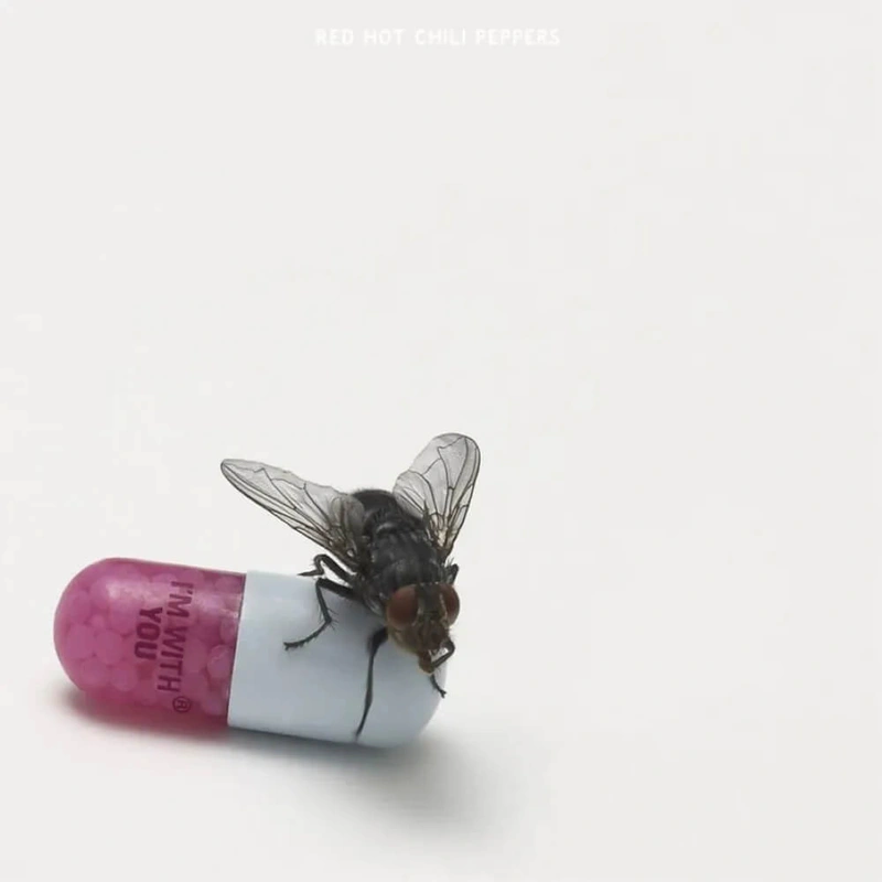 RED HOT CHILI PEPPERS I'm with You (2Винил)
