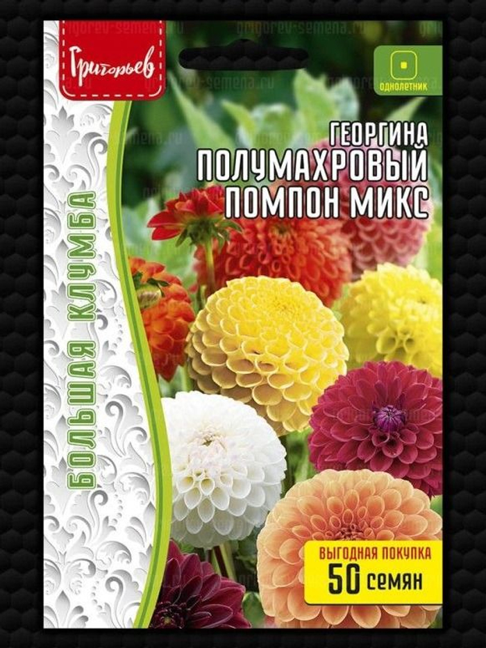 Георгина Помпон Микс полумахровый 50шт (Ред.Сем)