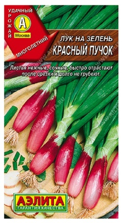 Лук на зелень Красный пучок