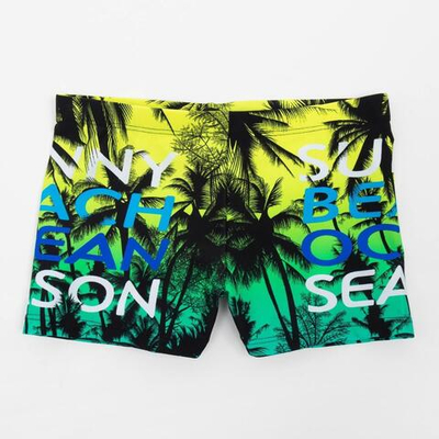 Купальные трусы для мальчика "Suny beach", рост 110-116 (6) (MINAKU), 1 шт.