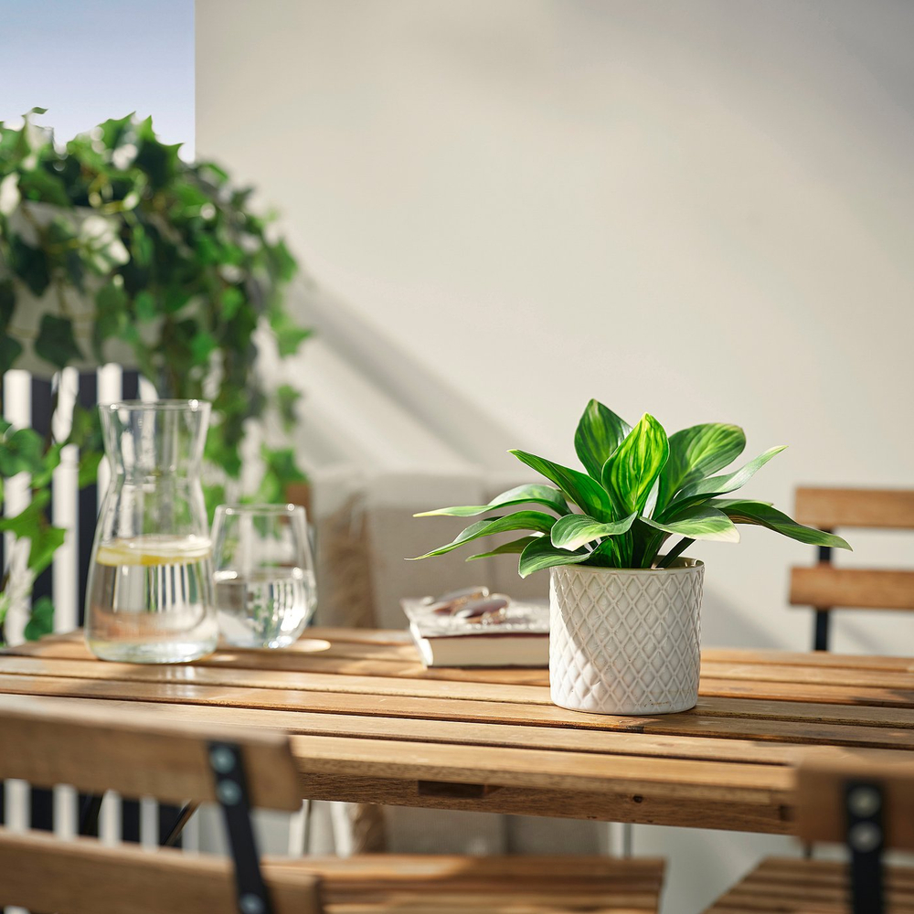 IKEA FEJKA  (ИКЕА ФЕЙКА)  -  Искусственное растение в горшке - для дома/улицы/хоста садовая 9 см