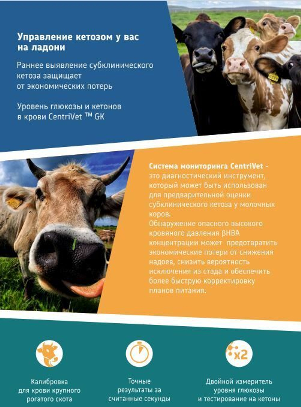 Анализатор CentriVet GK для определения глюкозы и кетонов в крови