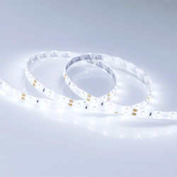 Светодиодная лента RTW 2-5000SE 12V Cool (3528, 300 LED, LUX) (Arlight, 4.8 Вт/м, IP65) 016836