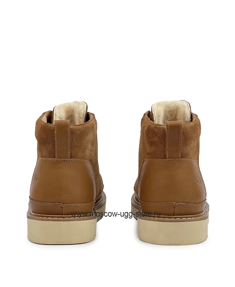 NEUMEL GENTLEMAN Chestnut