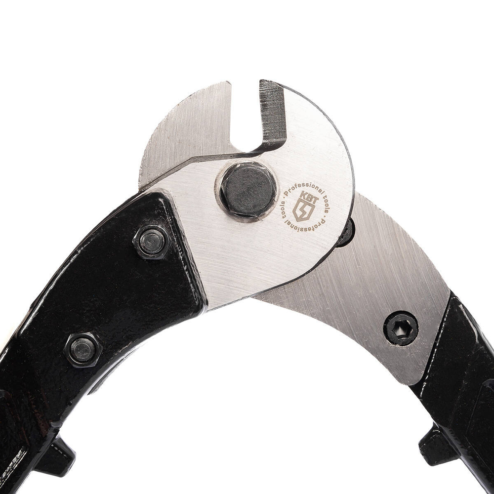 tr-m_part_1_-810671108.jpg
