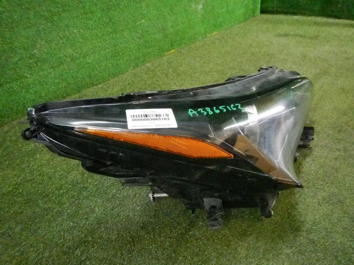 DSCN5510.jpg