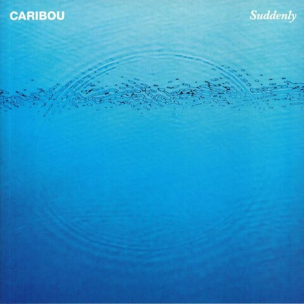 Caribou Suddenly