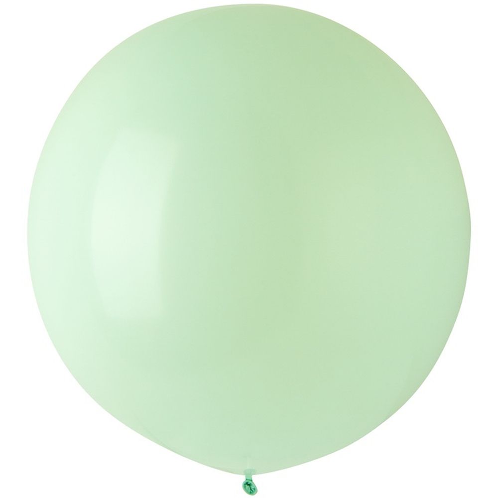 EV 24"/782 Стандарт Macaron Honey Dew 1 шт