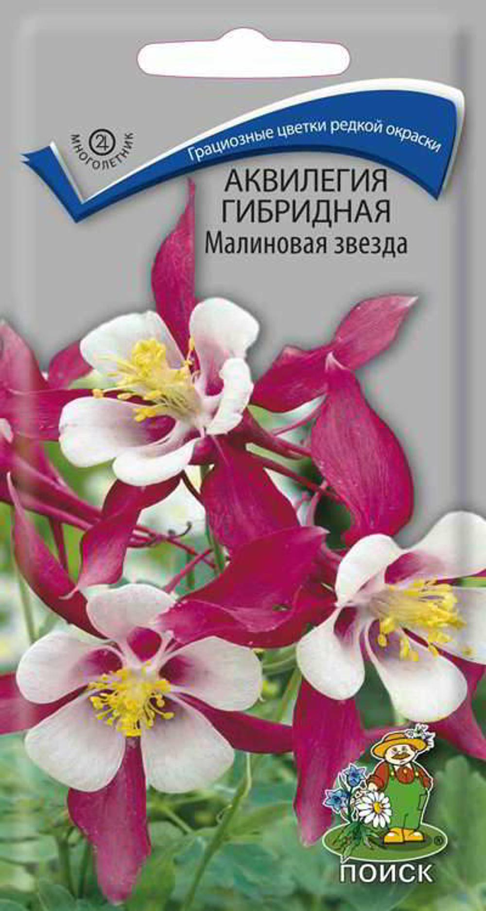 Аквилегия Малиновая звезда 0,05гр  /Поиск