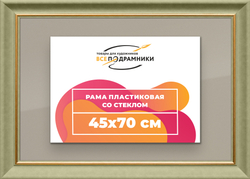 Рамка 45x70 для постера и фотографий