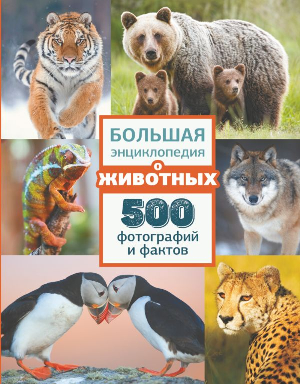 Большая энциклопедия о животных. 500 фотографий и фактов И