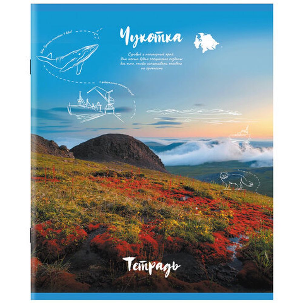 Тетрадь А5, 96 л., STAFF, скоба, клетка, офсет №2 ЭКОНОМ, обложка картон, "Природа", 404441, 5шт