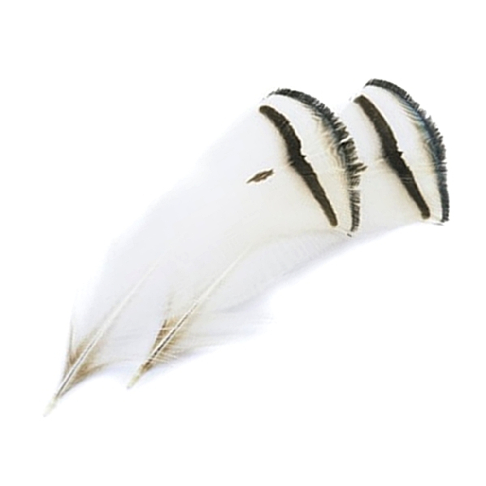 Шейные перья алмазного фазана Amherst Pheasant Tippets (10 шт)