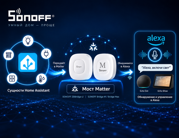 Интеграция Home Assistant с Alexa через Matter Bridge: пошаговое руководство